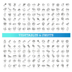 Fototapeta premium Fresh fruit and vegetables. Big icons set