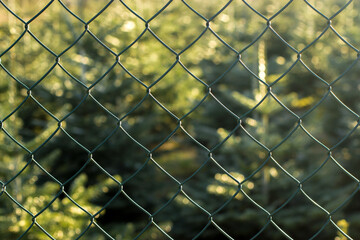 Chain link fence on a green background