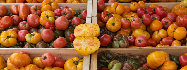 tomatoes in french market
