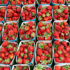 strawberry in market