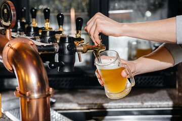 Close-up of the bartender filling a mug of light beer. The bar counter in the pub.