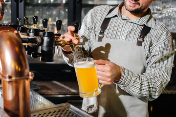 Close-up of a bearded bartender filling a mug of lager beer. The bar counter in the pub.