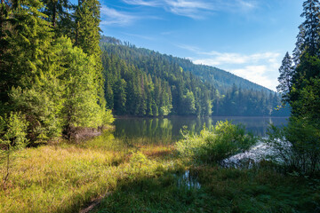 Fototapeta na wymiar landscape with mountain lake in the morning. peaceful summer landscape coniferous forest around the body of water. hazy atmosphere. bright sunny weather with clouds on the blue sky