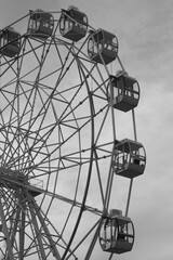 ferris wheel in the park