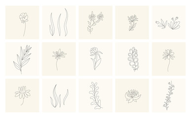 Floral elements. Collection of hand drawn plants. Set design elements in sketch style flowers and branches. Botanical icons