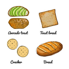 Vector food icons of vegetables. Colored sketch of food products. Avocado toast, cracker, bread, toast