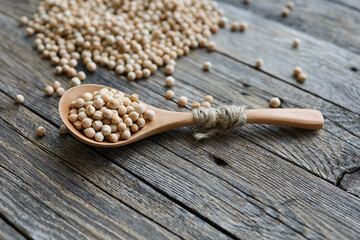 Fototapeta na wymiar Uncooked dried legume chickpeas in spoon with heap of garbanzo bean on wooden table. Vegetarian super food. Healthy eating and dietary. Indian, Mediterranean and Middle Eastern cuisine. Soft focus