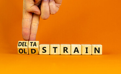 Covid-19 old or delta strain symbol. Doctor turns wooden cubes and changes words old strain to delta strain. Beautiful orange background, copy space. Medical, Covid-19 old or delta strain concept.