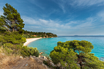 A picturesque landscape featuring a small hidden white sand beach on a shore of the turquoise sea surrounded by pine trees