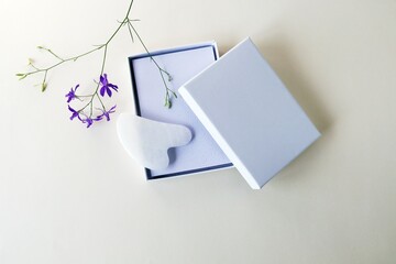 White quartz gouache scraper in an open box, flower on a light background, top view, the concept of...