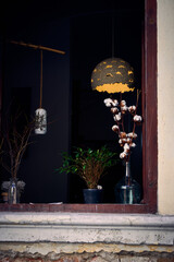 cotton in the window