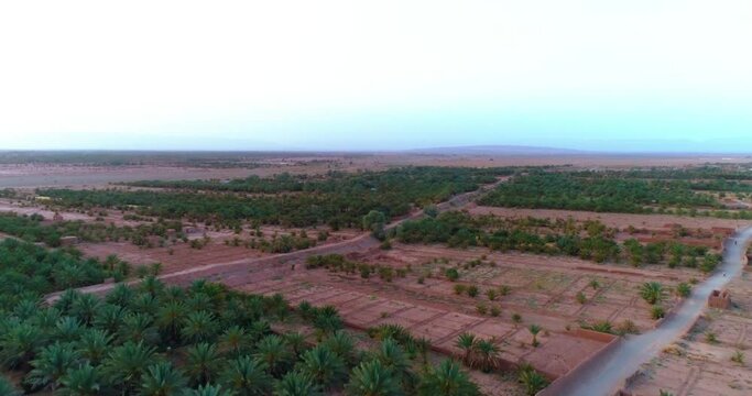 Palm Tree Forest In Morocco  , zagora aerial view