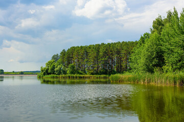 Fototapeta na wymiar view of river on forest background