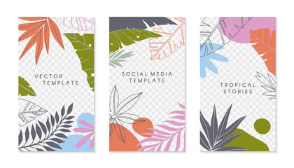 Fototapeta na wymiar Set of insta story templates with tropical palm leaves.Modern summer vector layouts with copy space for text.Bright vibrant banners.Trendy designs for social media marketing,digital post,prints.