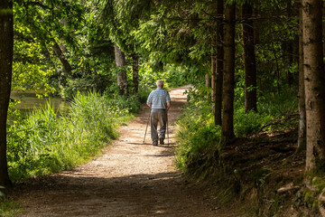 Fototapeta premium An elderly man walking on a hiking path in the forest