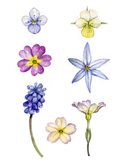 Spring flowers set. Colorful spring flowers can be used as print, postcard, poster, invitation, greeting card, packaging design, textile, element design.