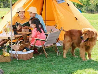 Tuinposter Gelukkig gezin van vier en hond kamperen © eastfenceimage