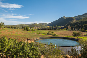 oudtshoorn wine valley in Wester Cape South Africa