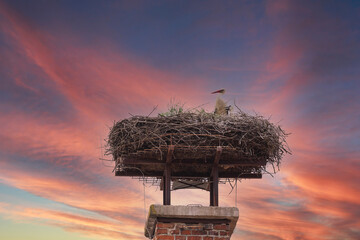A white stork sits on a nest on a chimney and has a young next to it. In the background is a dramatic sky.