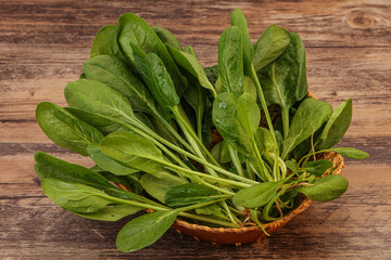 Fototapeta premium Fresh green Spinach leaves heap