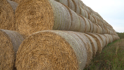 A large stack of the straw bales in a scenic view on a field after harvest time in the autumn season. Farmland landscape of the agricultural industry. Animal litter stocks.