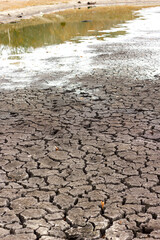 drought, dry cracked soil, dry lake shore close-up