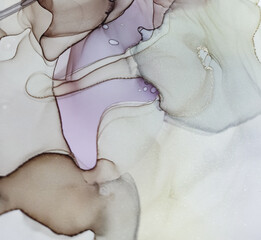 Fototapeta premium Alcohol Ink Painting. Oil Liquid Ancient Print.