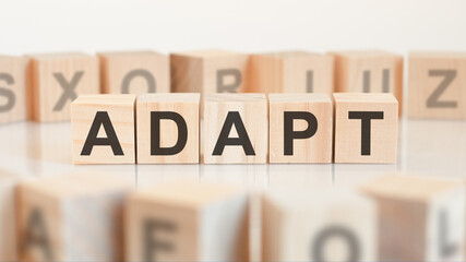 adapt - word on wooden cubes on white background