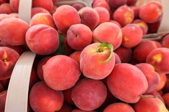 A basket full of peaches from the farmer's market