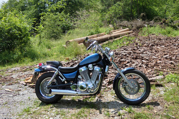 Shiny thick chopper on the edge of the forest 