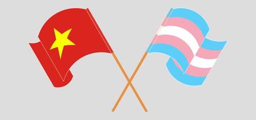 Crossed and waving flags of Vietnam and transgender pride