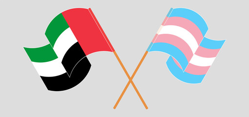 Crossed and waving flags of the United Arab Emirates and transgender pride