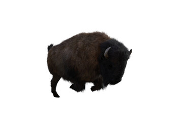 American bison, different poses isolated on a white background. 3D figure clip art as a template for collage. 3D rendering, 3D illustration.