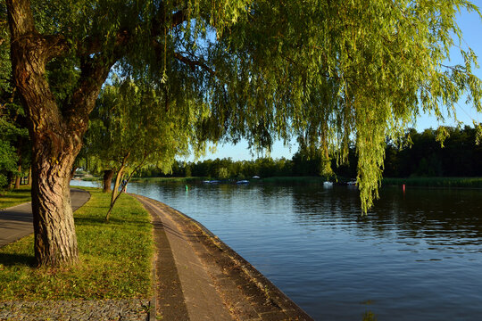 summer landscape small river near the park