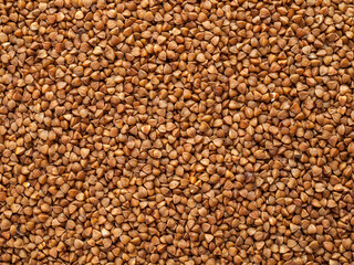 Buckwheat groats close-up, solid background, buckwheat seeds for cooking, dietary products, diabetic food