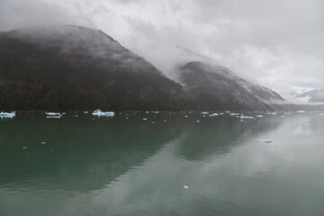 Endicott Arm landscape in South East Alaska