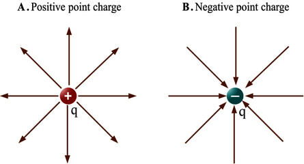 Electric field lines due to a point charges: positive and negative