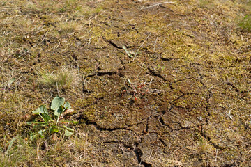 Cracks in the ground after long period of drought. Extreme dryness in Northern Europe. Global warming concept.