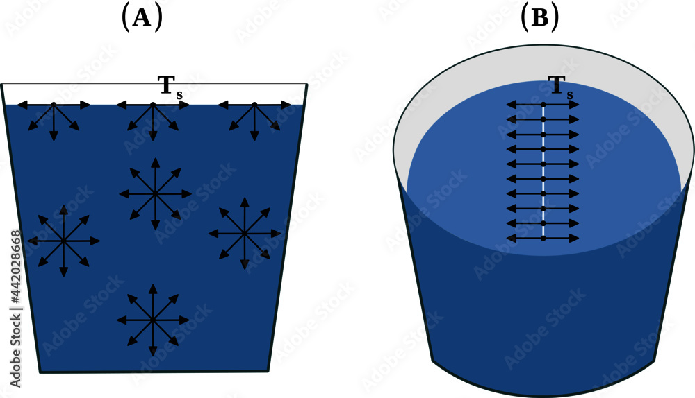 Poster surface tension or tendency of liquid surfaces at rest to shrink into the minimum surface area possi