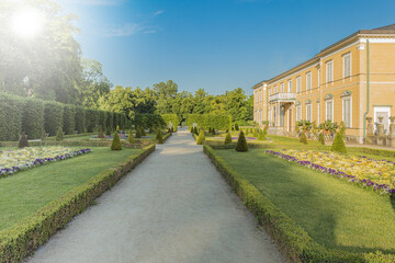 Obraz premium The landscape of the city park on a clear summer day, and a sunny flare