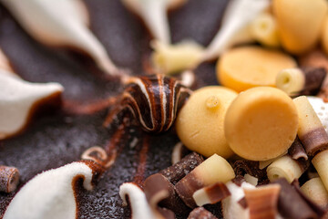 Macro close up on a profiterol ice cream with vanilla and chocolate 