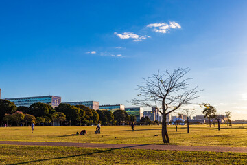 Pessoas no gramado da Esplanada dos Ministérios em Brasília.