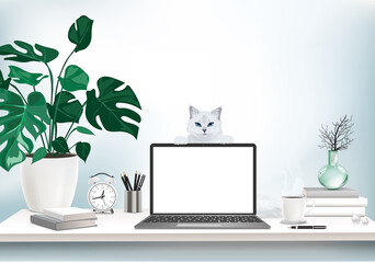 Co-working office interior with mock-up laptop, coffee cup, stationery, plants and  cat standing on a computer table.  Font view workspace vector editable illustration.