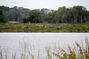 Lake George, bird refuge, environment