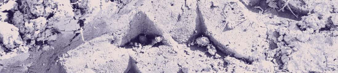 abstract pale violet color background for design