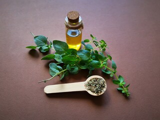 Oregano essential oil in a glass bottle with fresh green oregano branches and wooden spoonful of...