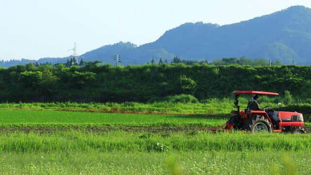 トラクターで畑を耕している男性　農業