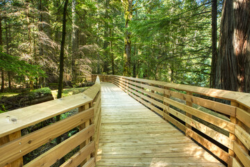 Obraz premium Wooden bridge structure under construction in the middle of an old forest