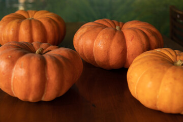 shrimp in the pumpkin