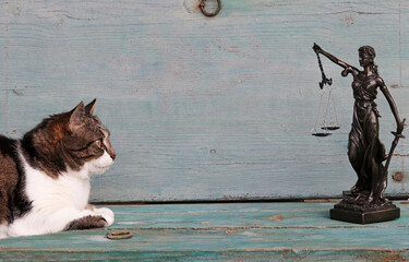 Die Rechte der Tiere. Eine Katze und eine Justitia Figur auf einem Holzuntergrund